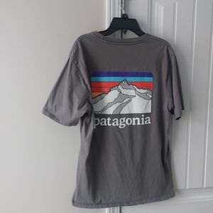 Patagonia Gray Graphic Logo Tee